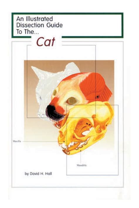 Read Pearson Human Anatomy Cat Dissection Answer Key 