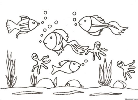 Peces Para Dibujar