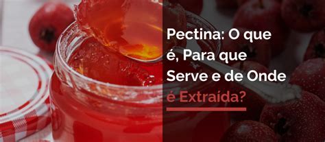 Pectina O Que é