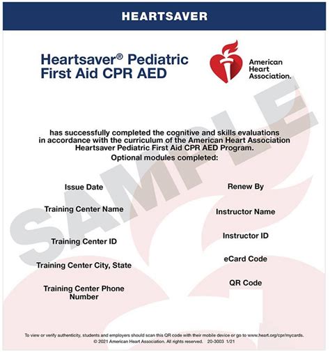 Pediatric Cpr And First Aid A Rescuers Guide To Pediatric Emergency Response