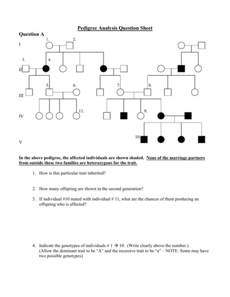 Pedigree Analysis Questions