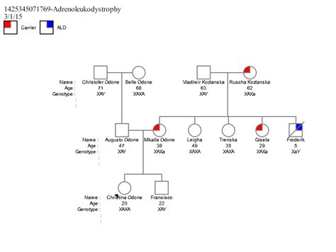 pedigree chart for ald