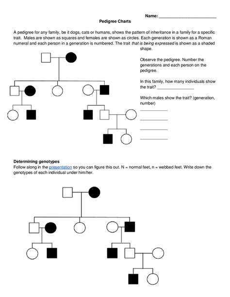 pedigree chart practice problems and answers