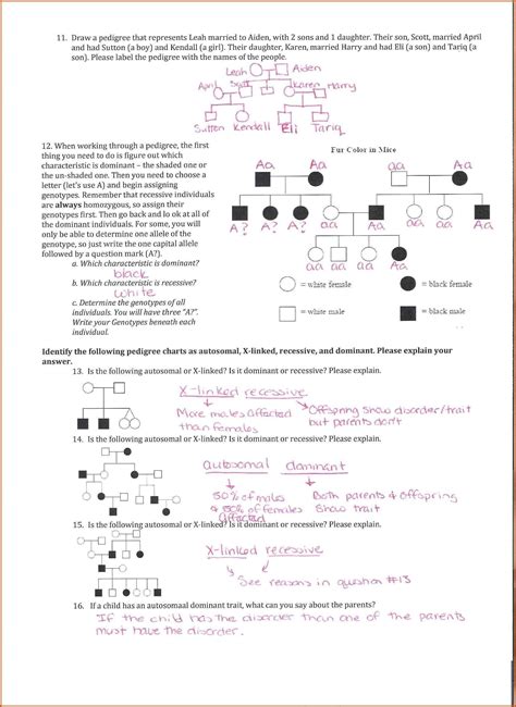 Pedigree Charts Worksheet And Answer Key Studocu Constructing A Pedigree Worksheet Answers - Constructing A Pedigree Worksheet Answers