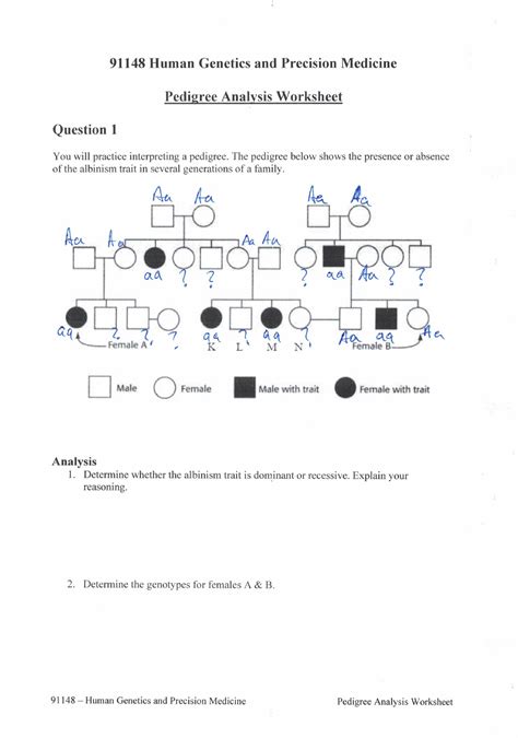 Pedigree Worksheet Answers 91148 Studocu Constructing A Pedigree Worksheet Answers - Constructing A Pedigree Worksheet Answers