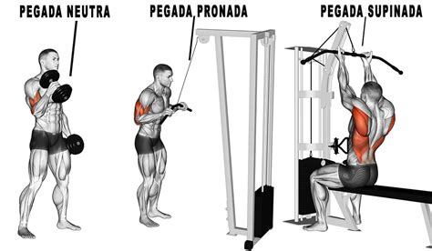 Pegada Pronada E Supinada