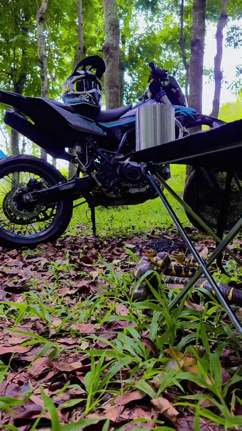 veodersti.rgarabwor.edu.pl. 