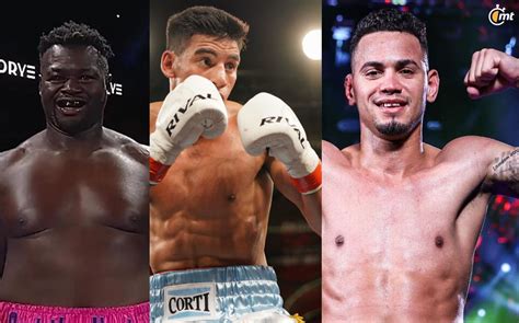 peleas de box gratis