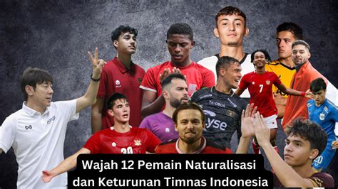 pemain naturalisasi timnas indonesia