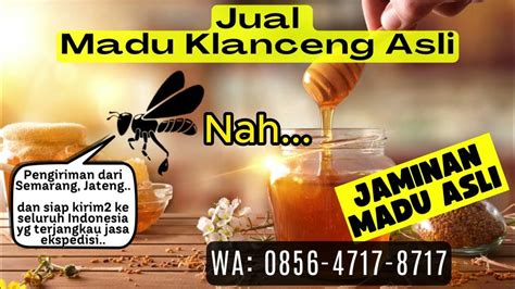 Pembudidaya Madu Klanceng Gresik Telp Wa 0822 4541 Agen Madu Klanceng Semarang - Agen Madu Klanceng Semarang
