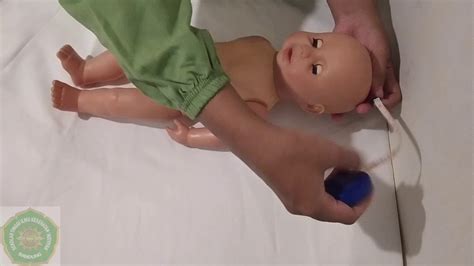 pemeriksaan fisik bayi baru lahir head to toe