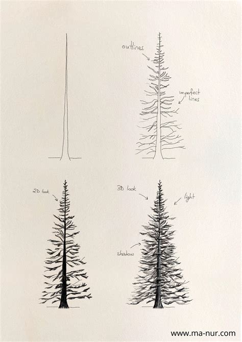 pencil pine tree drawing