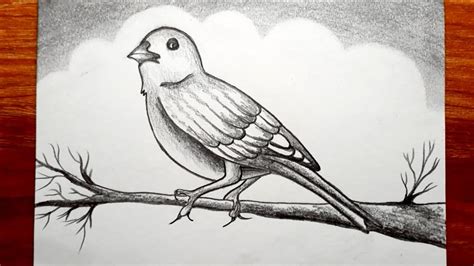 Pencil Shading Pictures Of Birds Pencil Art Drawing Outline Pictures Of Birds For Colouring - Outline Pictures Of Birds For Colouring