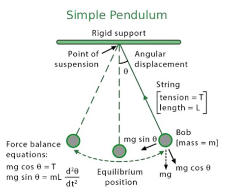 Pendulum Length Calculator
