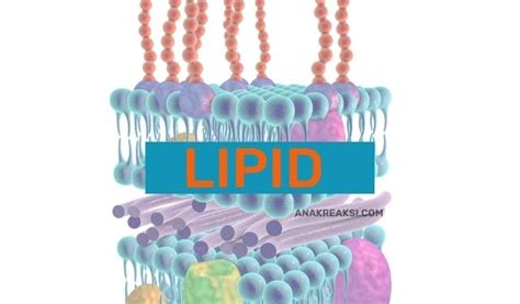 pengertian lipid