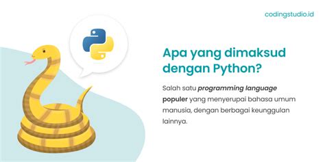 pengertian python | bng bo gi ca nhm xingfa nhp