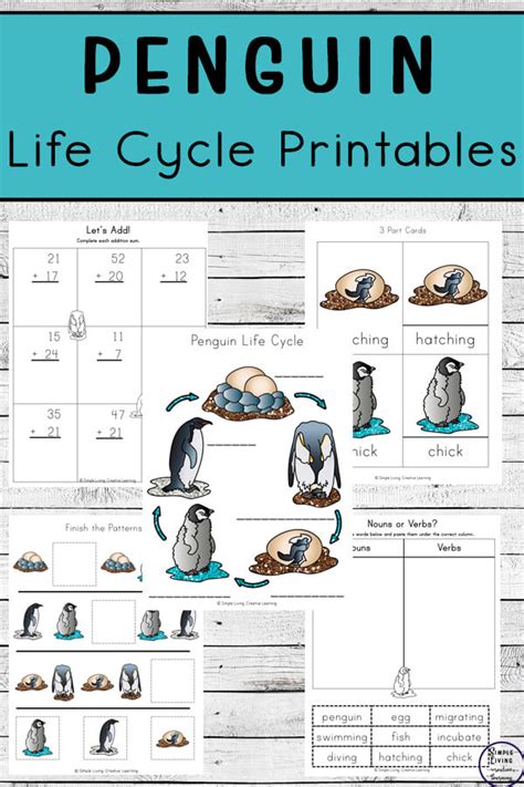 Penguin Life Cycle Worksheets 123 Homeschool 4 Me Penguin Worksheets For Kindergarten - Penguin Worksheets For Kindergarten