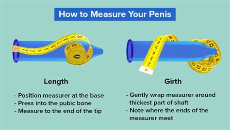 Penis Size Photos