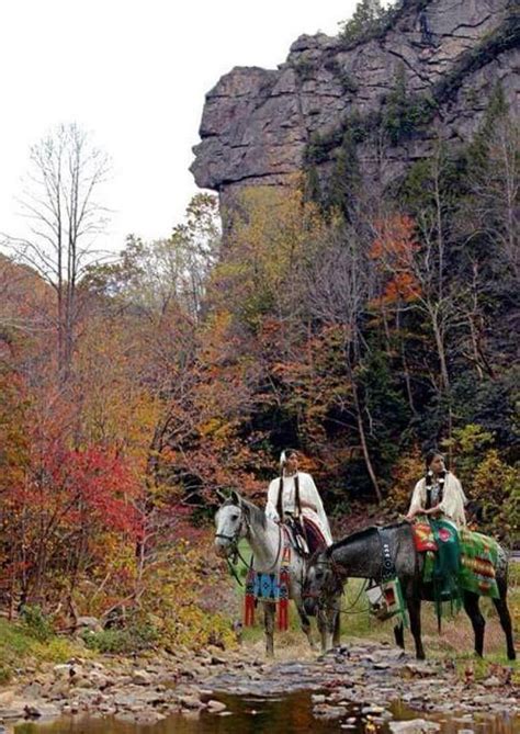 pennington gap virginia
