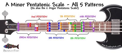 Pentatonic Scale Bass