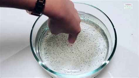 Pepper And Water Science Magic Trick Thoughtco Science Tricks With Explanation - Science Tricks With Explanation