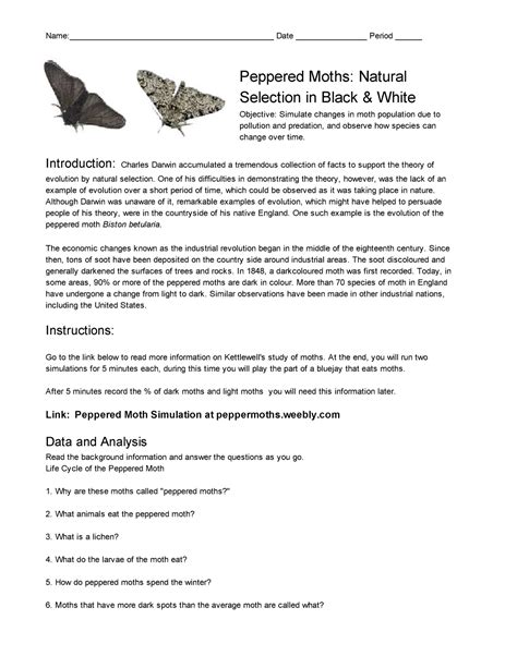 Peppered Moth Activity