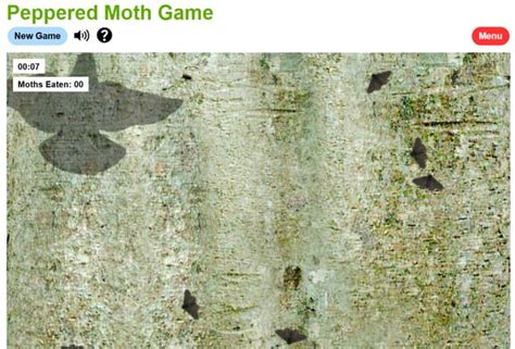 Peppered Moth Simulation Key