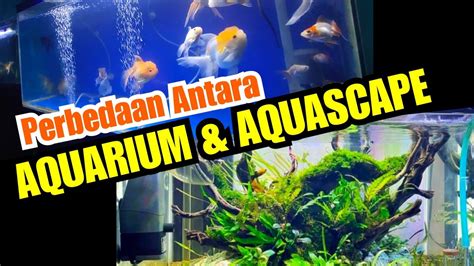 perbedaan aquarium dan aquascape
