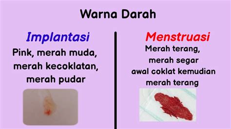 perbedaan darah haid dan hamil