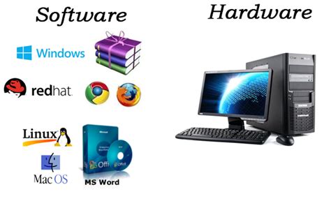 perbedaan hardware dan software | Bn thng ng rc Hi Phng gi