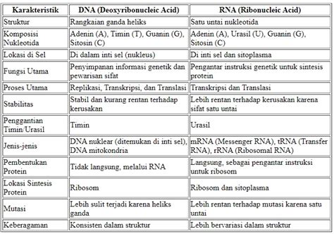 perbedaan on dan in | Differences between Banksman Slinger vs Rigger PVD