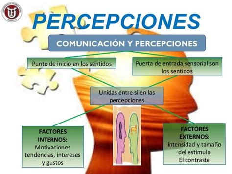 percepciones-4