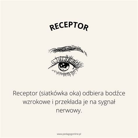 Percepcja Co To
