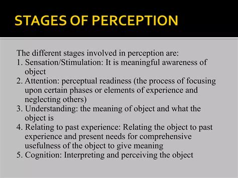 perception meaning