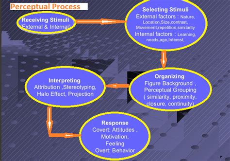 Perception Process In Organisational Behaviour