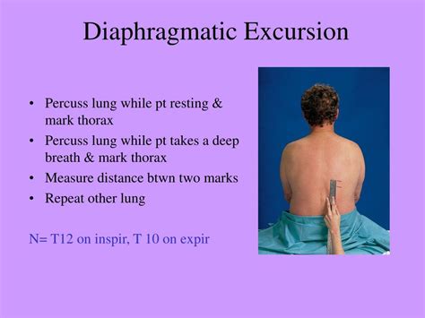 percussing diaphragmatic excursion assessment