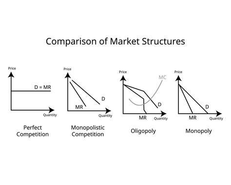 perfect competition and monopoly exercises