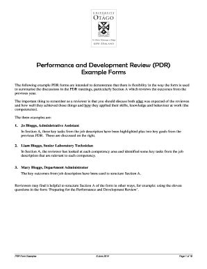 Download Performance And Development Review Pdr Example Forms 