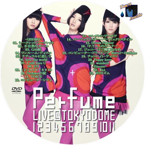perfume tokyo dome dvd rip