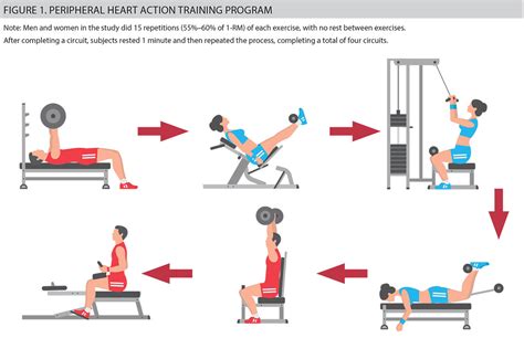 Peripheral Heart Action