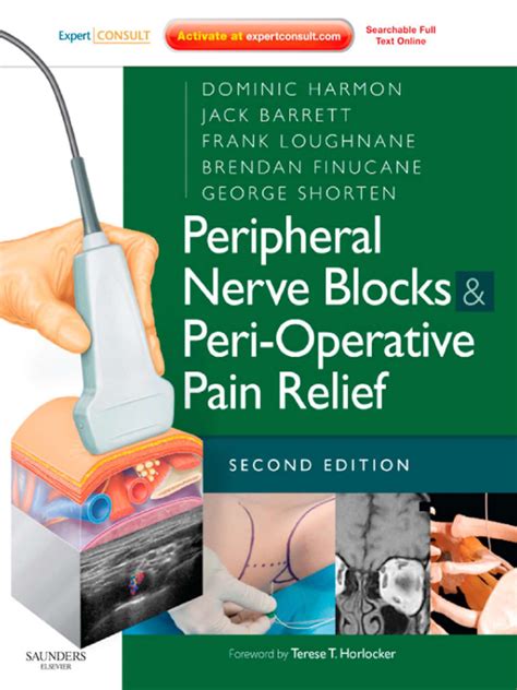 Peripheral Nerve Blocks And Peri Operative Pain Relief Peripheral Nerve Blocks And Peri Operative Pain Relief Expertconsult Online And Print Expert Consult Title Online Print