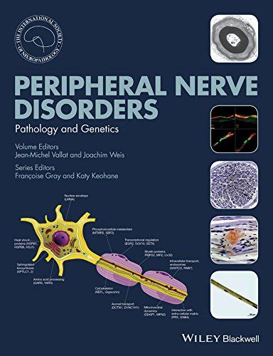 Read Online Peripheral Nerve Disorders Pathology And Genetics 