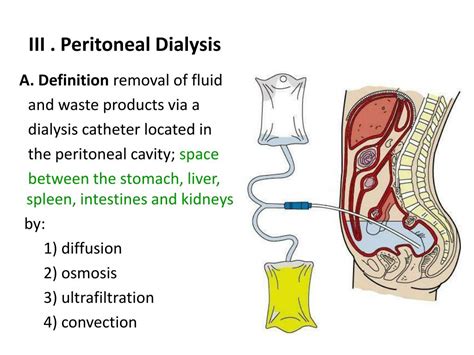 Peritoneal Dialysis Ppt