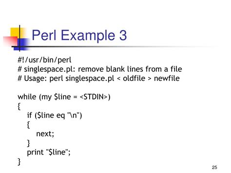 perl by example