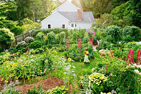 Permaculture