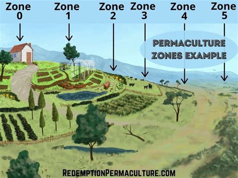 Read Permaculture Design Pdf 