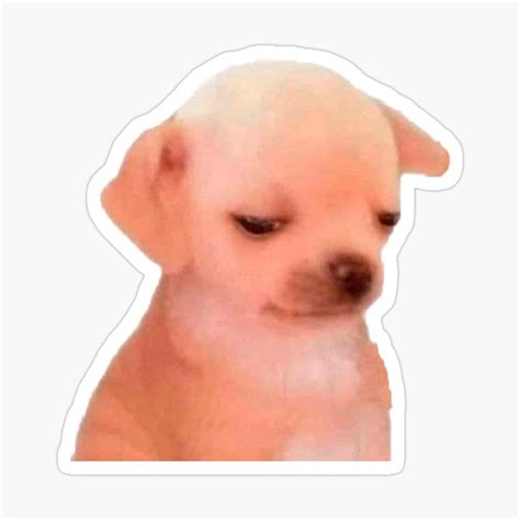 Perro Triste Meme
