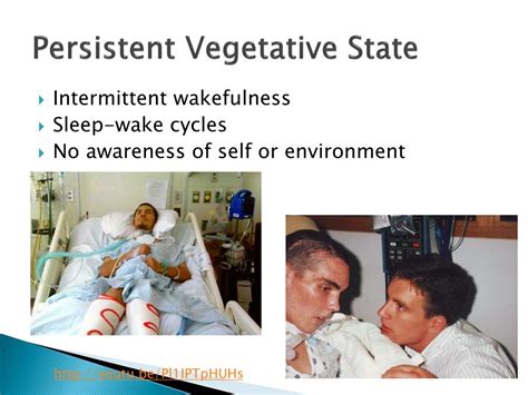 Persistent Vegetative State