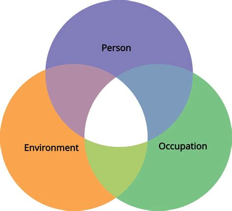 Person Environment Occupation