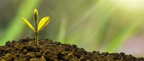 persoonlijke groei definitie